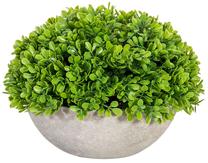 Dirbtinė gėlė Home4you, žalia sp./pilka sp., 16 cm x 22 cm