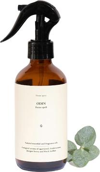 Mājas aromatizētājs Smells Like Spells Odin, 0.2 l