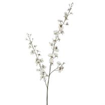 Dirbtinis augalas Mica Oncidija, kreminė sp., 78 cm