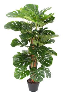 Искусственное растение в горшке, монстера Home4you Monstera Artificial, зеленый цв., 105 см