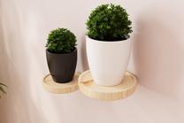Sieninė lentyna Kalune Design DZYD0017, smėlio sp.