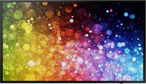 Monitors Samsung DC43J LH43DCJPLGC/EN, E-LED, 60 Hz, 43"