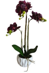 Dirbtinė gėlė vazone, orchidėja MN Orchid Assorted, (spalva/dizainas parenkami atsitiktine tvarka)