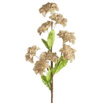 Dirbtinė gėlė Flore 865, smėlio sp., 65 cm x 20 cm