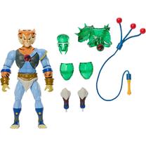 Žaislinė figūrėlė, su priedais Mattel Masters Of The Universe Thundercats Tygra JFW96, žalia sp./oranžinė sp./žydra sp.