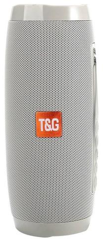 Belaidė kolonėlė Fusion Accessories TG-157, pilka sp., 20 W