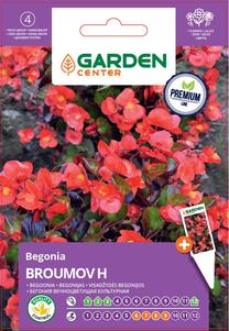 Sėklos Garden Center begonija BROUMOV H, 7 g