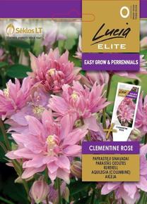 Sėklos Lucia Elite sinavadai Clementine Rose, 8 g