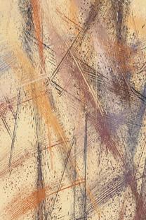 Kilimas Conceptum Hypnose HMNT249, įvairių spalvų, 80 cm x 150 cm