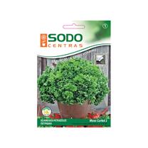 Sėklos Garden Center petražolės Moos Curled 2, 2 g