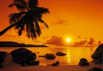 Fototapete Komar Sunset 8-316, 368 cm x 254 cm