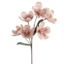 Dirbtinė gėlė Flore 854, smėlio sp., 70 cm x 15 cm