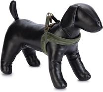 Petnešos šunims Beeztees Harness, žalia sp., 520 mm x 10 mm, 52