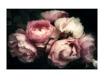 Фотокартина Flowers, 120 см x 80 см