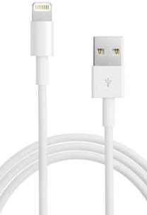 Laidas Forever, USB/Apple Lightning, balta sp.