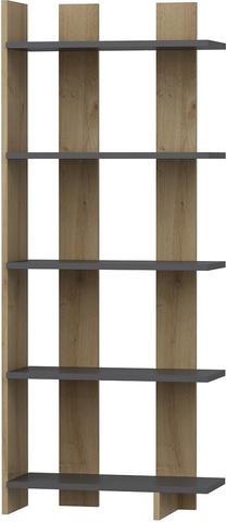Pastatoma lentyna Kalune Design Elas 475OLV2121, antracito sp./ąžuolo sp./juoda sp., 150 cm x 62 cm x 25 cm