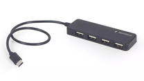 USB šakotuvas Gembird UHB-CM-U2P4-01, 30 cm