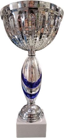 Treniņu piederumi, apbalvojuma kauss Z0522, 30 cm, sudraba krās.