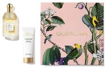 Подарочные комплекты для женщин Guerlain Aqua Allegoria Bergamota