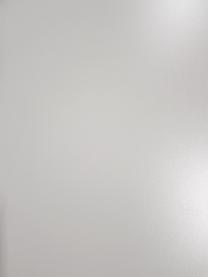 MDL dēlis, 130 cm x 49.5 cm x 1.6 cm