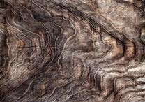 Fototapete Artgeist Signs Of The Times - An Abstract Background With The Wrinkled Bark Of An Old Tree, 105 cm x 150 cm