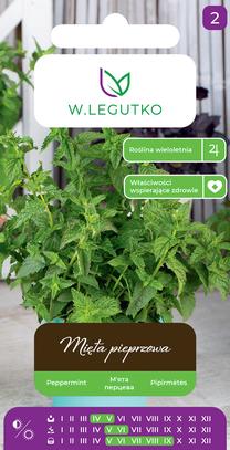 Sėklos pipirmėtės, 0.1 g