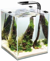 Akvariumas Aquael Shrimp, juoda sp., su įranga, 10 l