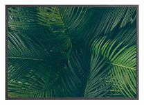 Pilt DecoKing Evergreen, 100 cm x 70 cm