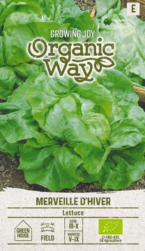 Sėklos Organic Way, salotos Merveille D'Hiver, 2 g