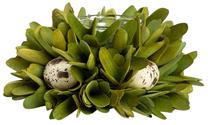 Žvakidė Homla Kiri 160768, plastikas/stiklas/mediena, 9 cm, žalia sp.