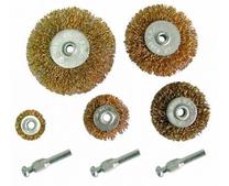 Diskveida stiepļu birste Proline, 5 gab.
