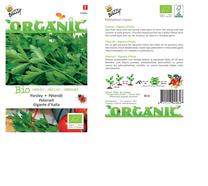 Seemned petersell Buzzy Parsley Gigante D Italia