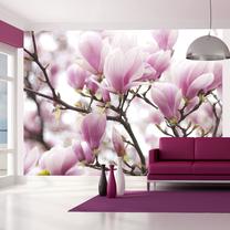 Fototapete Artgeist Magnolia Bloosom 4XLFTNT1615SAM, 309 cm x 392 cm