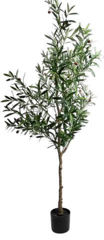 Dirbtinis augalas vazone, alyvmedis Homla Basic Viridis, žalia sp., 140 cm x 15 cm