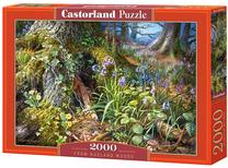 Пазл Castorland From Rusland Woods 2000 el. C-200764-2, 68 см x 92 см, 2000 шт., многоцветный