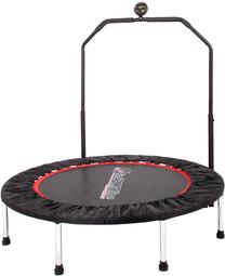 Sportinis batutas inSPORTline PROFI Digital 3732, 122 cm