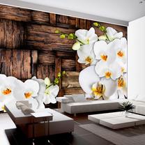 Fototapete Artgeist Blooming Orchids LNEW010875, 140 cm x 200 cm