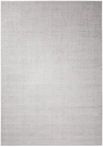 Vaip sise Domoletti AROMA, helehall v., 300 cm x 200 cm