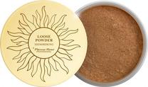 Biri pudra Pierre Rene oose Shimmering Powder, neutralus sp., 6 g