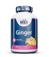 Maisto papildas Haya Labs Ginger, 120 vnt.