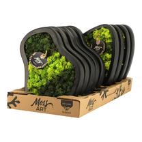 Taimede kompositsioon dekoratiivne sammal, 30 cm, ø30 cm