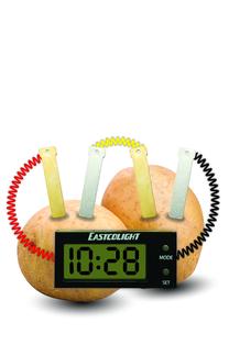 Kūrybos rinkinys Potato Power