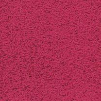 Vaip 4World Mango Fuchsia, punane v., 200 cm x 133 cm