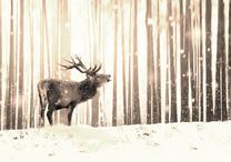 Fototapete Artgeist Deer In The Snow (Sepia), 280 cm x 400 cm