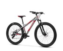 Vaikiškas dviratis, kalnų Lombardo Mozia, sidabro sp./raudona sp., 14", 24"
