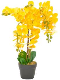 Dirbtinė gėlė vazone, orchidėja VLX Orchid, geltona sp./žalia sp., 60 cm