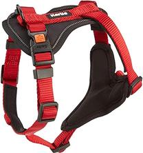 Petnešos šunims Beeztees Harness, juoda sp./raudona sp., 450 - 570 mm x 20 mm, S/M