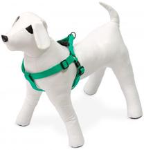 Petnešos šunims Karlie ASP Step & Go, mėtinė (mint) sp., 350 - 600 mm x 20 mm, M