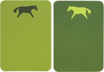 Stovyklavimo kilimėlis Yate Horse M01574 Two-Sided Assorted, (spalva/dizainas parenkami atsitiktine tvarka), 40 x 28.5 cm