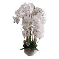 Искусственные цветы в вазоне, oрхидея Home4you Garden Queen, белый цв., 102 см
